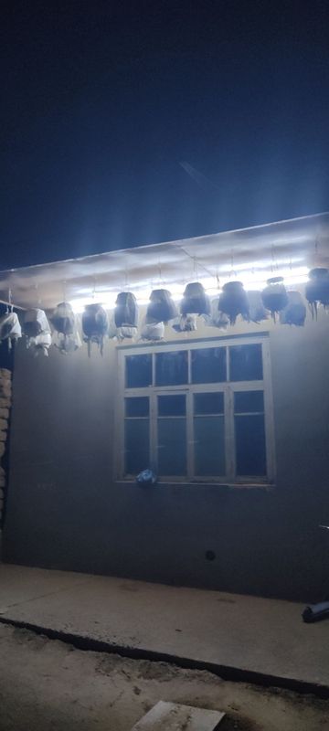 Bedana Sotiladi$