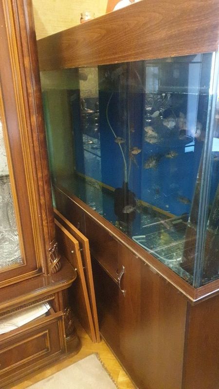 Продам аквариум с тумбой ,350 литров. Продам аквариум с тумбой ,350 литров.