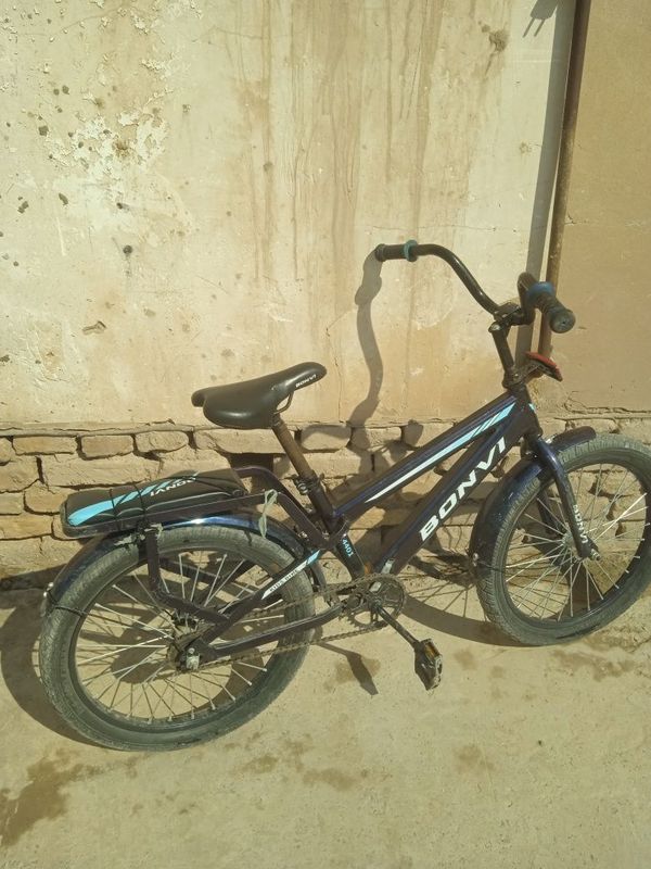 Masalan 1 velasapet