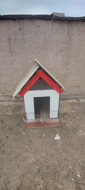 Kuchuklarda domik hadiyaga Kuchuklarda domik hadiyaga