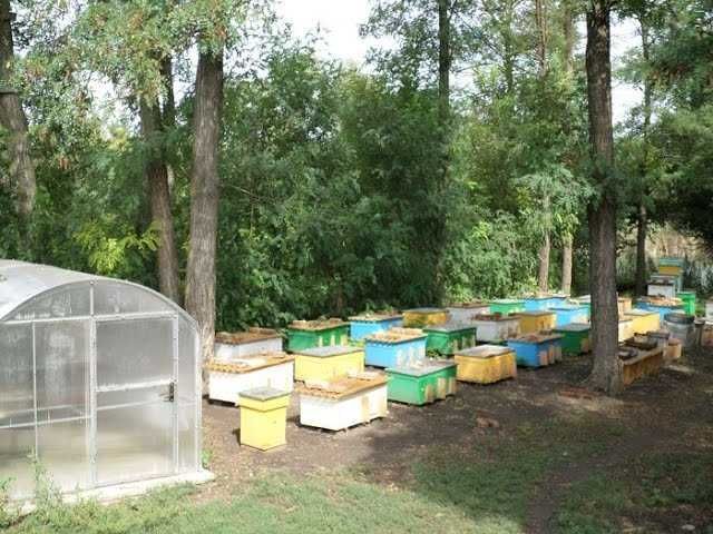 Продам ульи для пчёл — прочные и практичные Продам ульи для пчёл — прочные и практичные