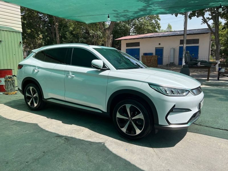 Byd champion flagship 505 Byd champion flagship 505