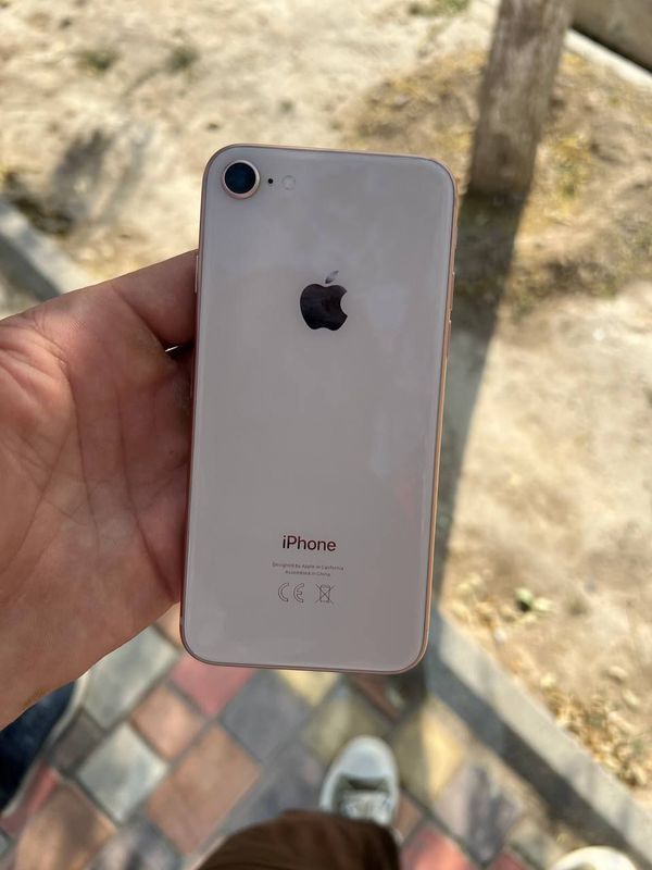 iPhone 8