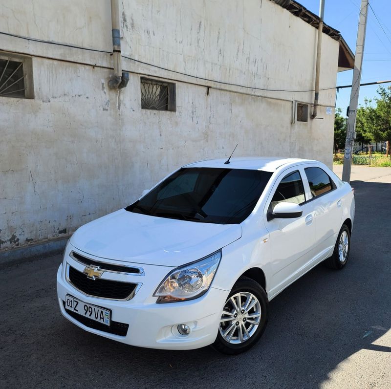 Cobalt 2019 ideal Cobalt 2019 ideal