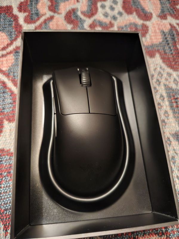 Razer Deathadder V3 pro