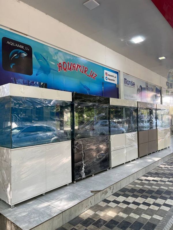 Akvarium Magazin Toshkent Akvarium Magazin Toshkent