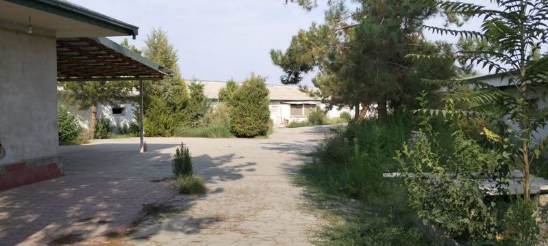 Товук ферма сотилади, тайёр бизнес Товук ферма сотилади, тайёр бизнес