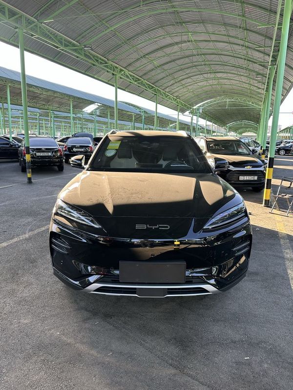 BYD Champion 605km
