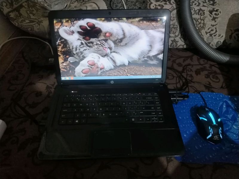 notbuk sotiladi aybi yuq srochniga
