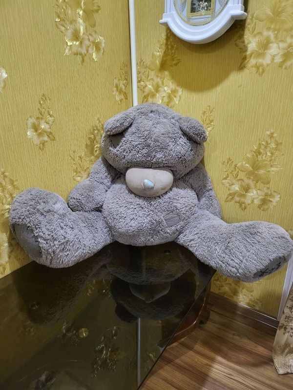 Teddy kotta 250 mindan