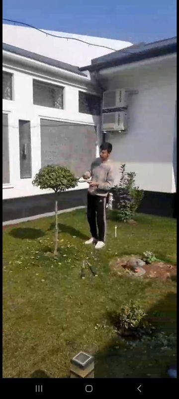 Gazon ekish xizmati Gazon ekish xizmati
