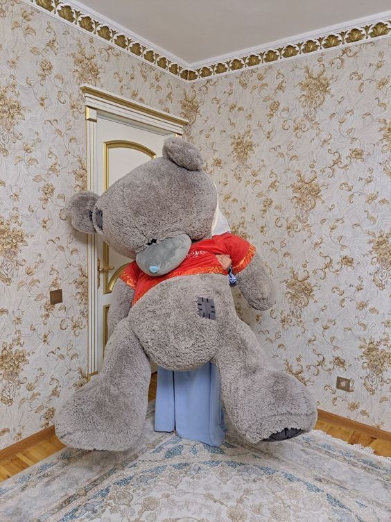 teddy 2.0 M teddy 2.0 M