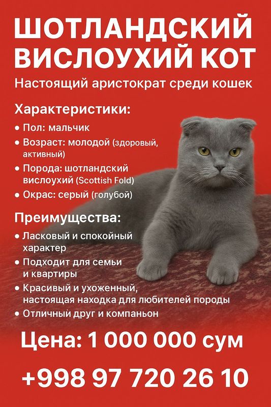 цена договорная. советую купить. цена договорная. советую купить.