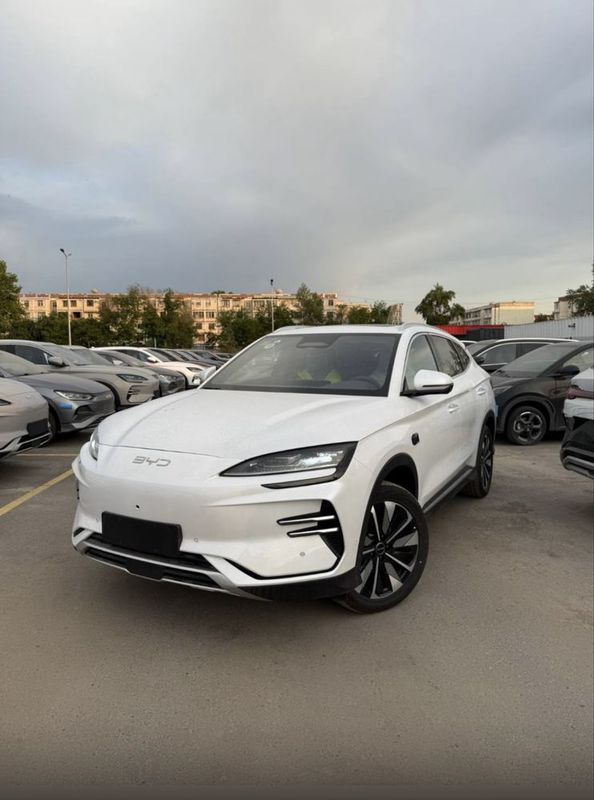 byd chempion 2025 byd chempion 2025