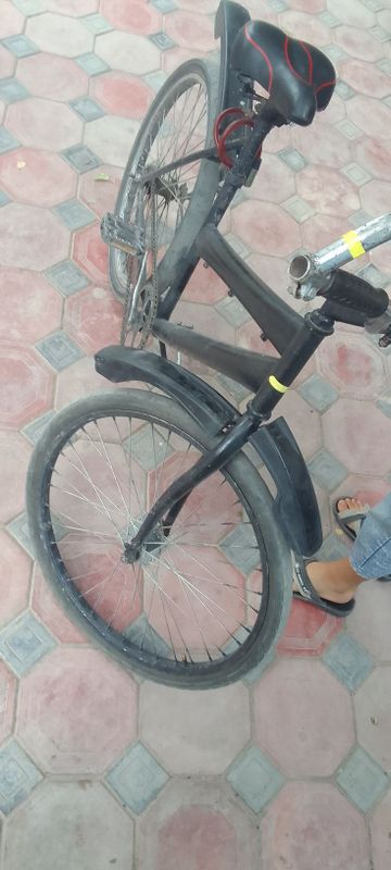 Velosiped24 srochna Velosiped24 srochna