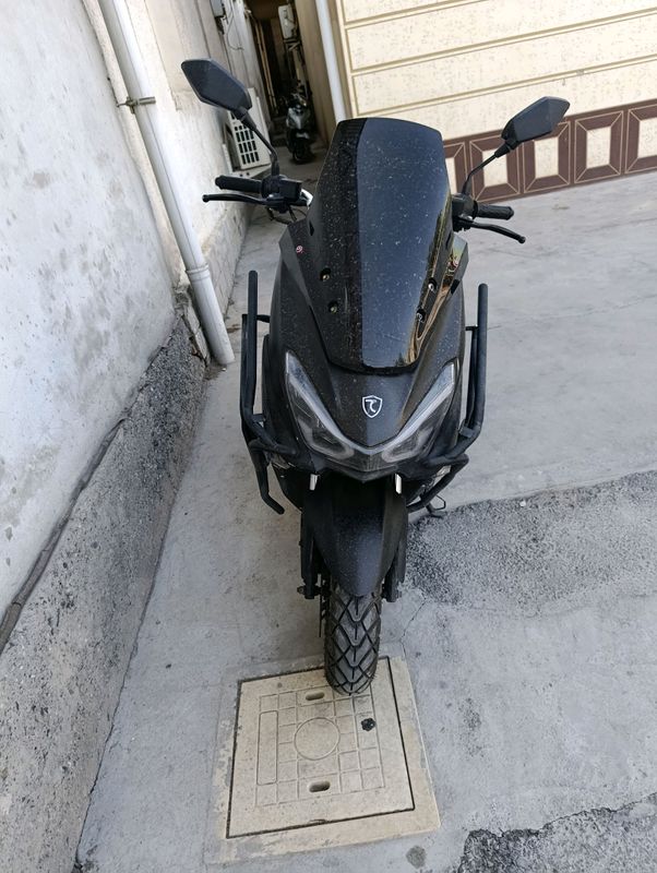 TIGER TIGER