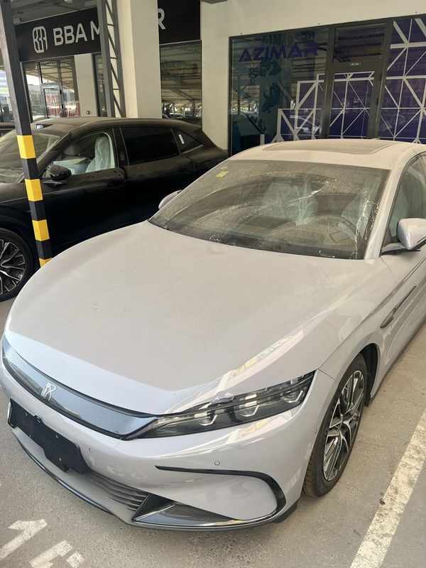 Byd han Byd xan 701kmqora narda grey natarius