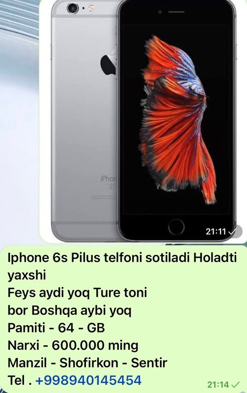 Iphone