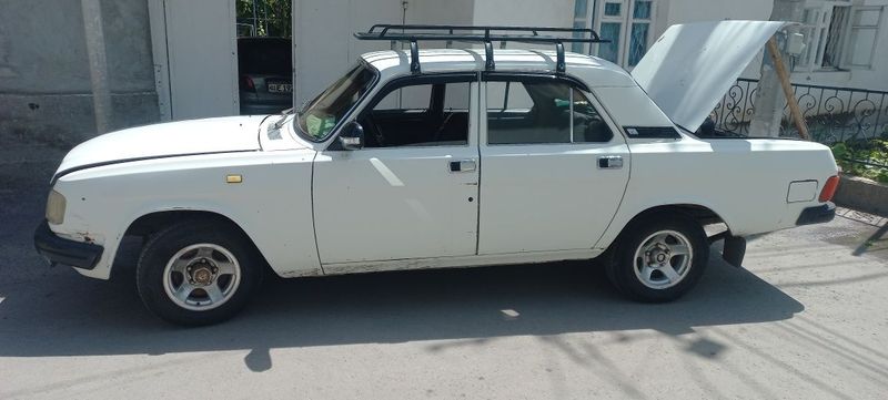 Volga gaz 31 029