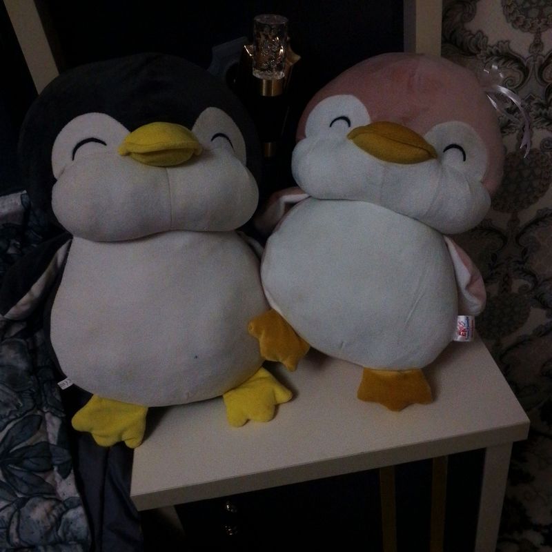 Lolo pepe pigvinlari Lolo pepe pigvinlari