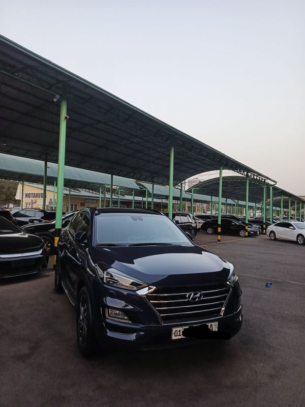 Hyundai Tucson ideal