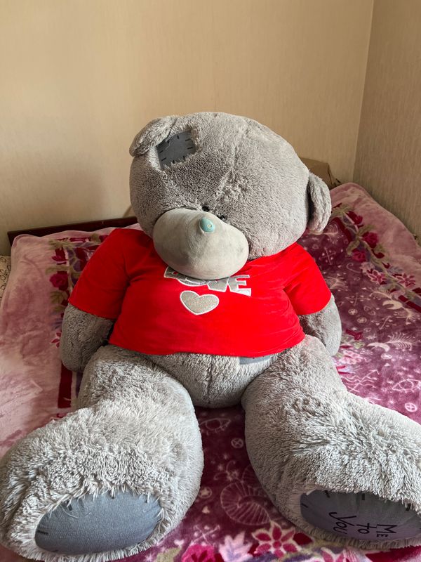 Teddiy ayiqcha kotta hajimda muomosi yoq yaxshi Teddiy ayiqcha kotta hajimda muomosi yoq yaxshi