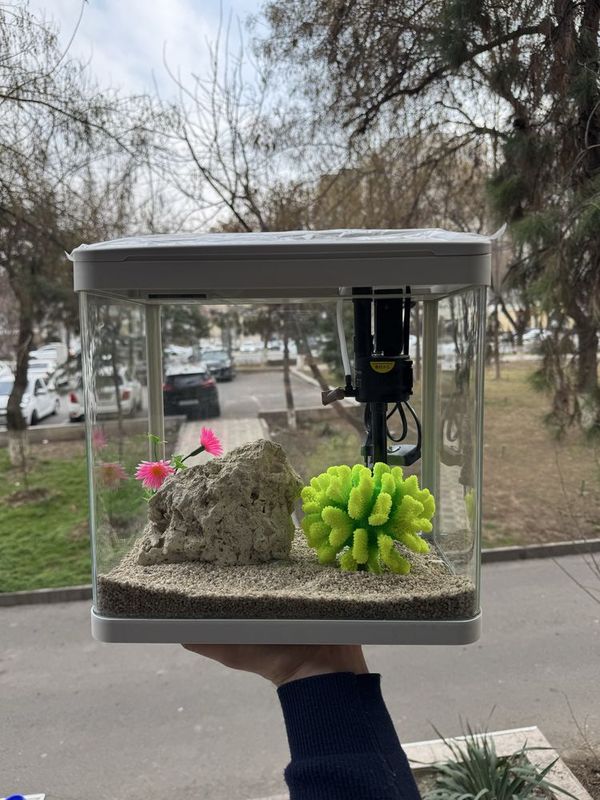 Akvarium va baliq Doʻkoni Mirobod Akvarium va baliq Doʻkoni Mirobod