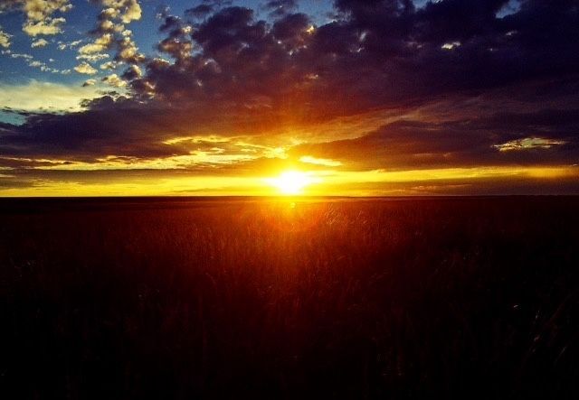 ОҚ-ТОШ дала ховли ОҚ-ТОШ дала ховли