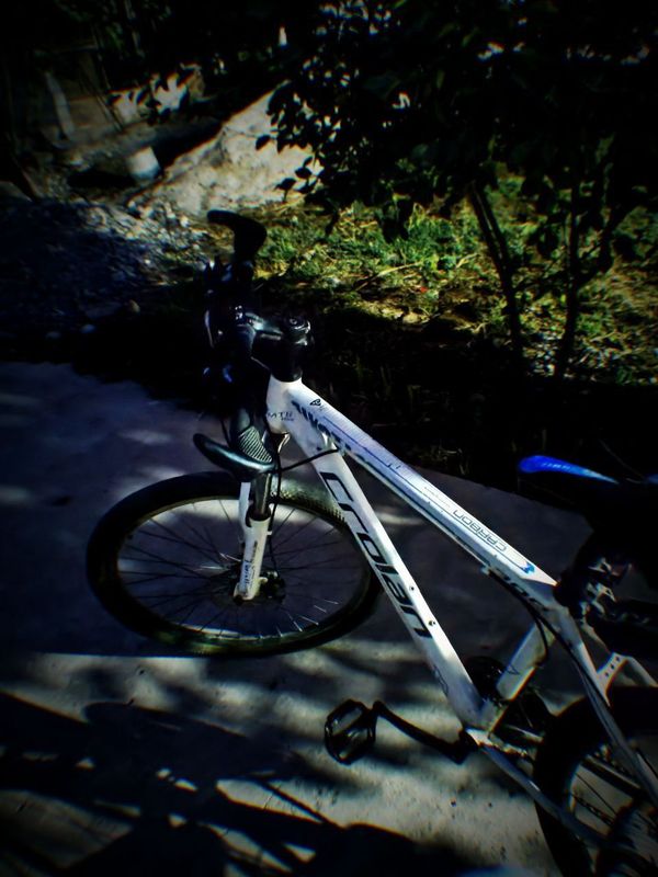 Skorli velosiped sotiladi Skorli velosiped sotiladi