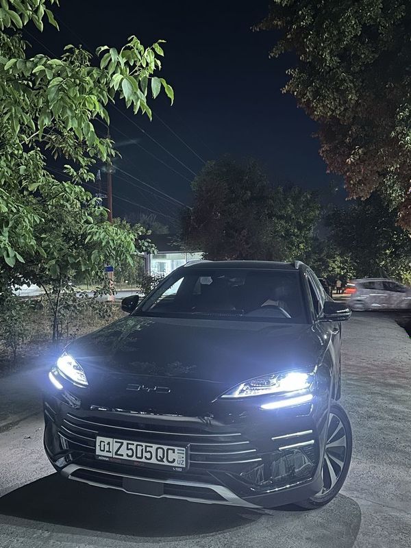 Byd champion hybrid 2024 Byd champion hybrid 2024