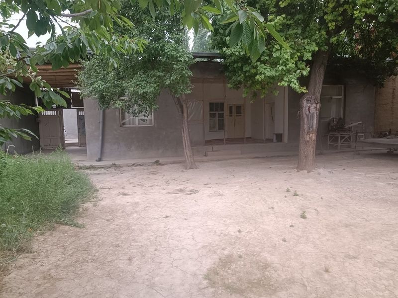 Продается дом(Xovli sotiladi) Продается дом(Xovli sotiladi)