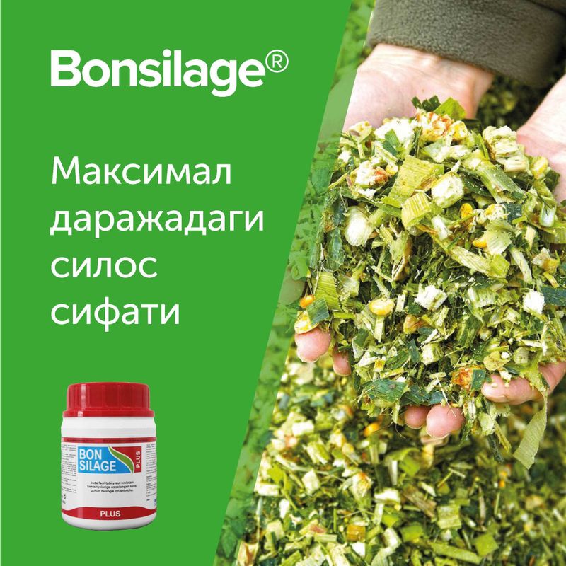 BONSILAGE PLUS - силос учун Германиядан консервант (закваска)