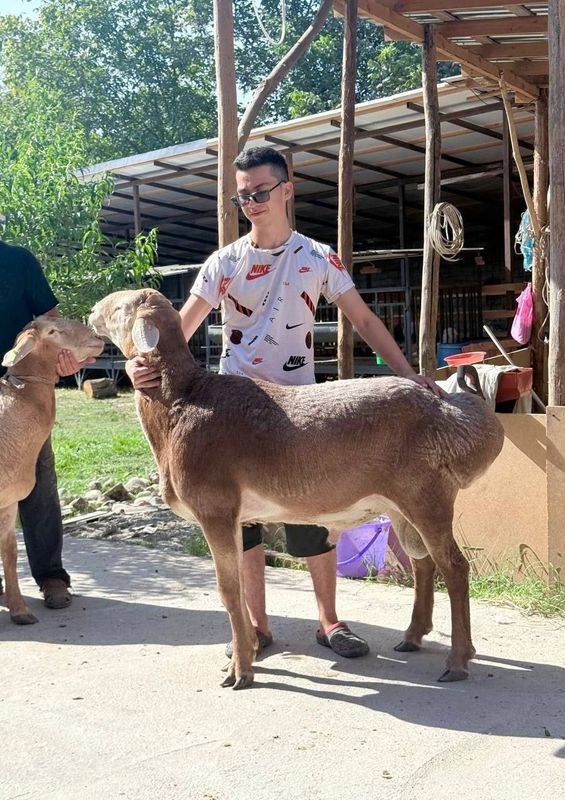 Qassob servis eng tezkorva arzon xalqni chuntagiga qarab