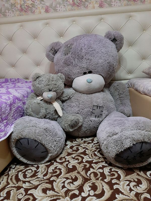 Teddy ayiq Teddy ayiq