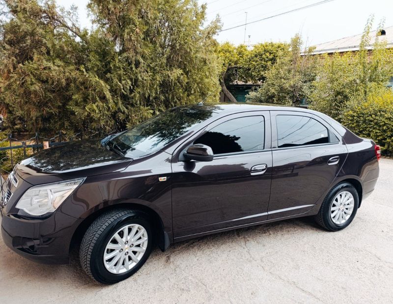 Cobolt 2019 ideal. Kraska toza Cobolt 2019 ideal. Kraska toza
