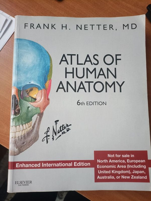 ОРИГИНАЛ! Atlas of human anatomy Netter/ Атлас анатомии человека Нетт