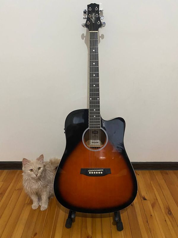 Akustik gitara 41 Ashton D20CEQTBS Akustik gitara 41 Ashton D20CEQTBS