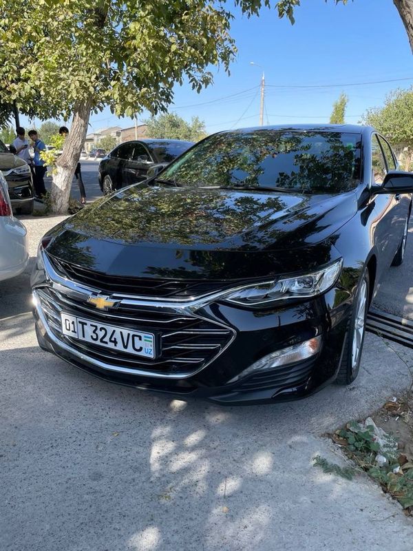 Malibu 2 primer 2020 Malibu 2 primer 2020