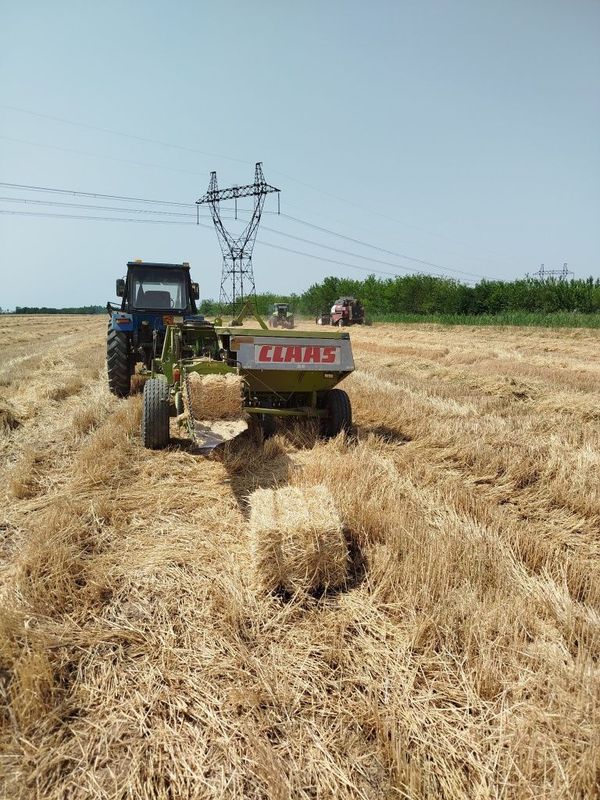 Belarus traktor va klas 55 sotiladi