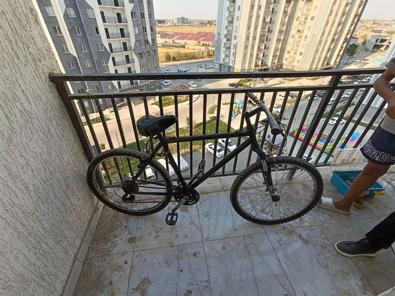 Velosiped sport 24