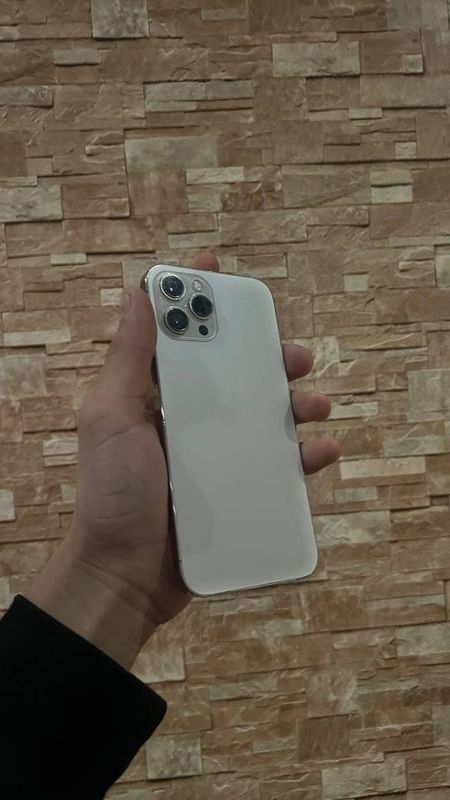 Iphone 12 pro max Iphone 12 pro max