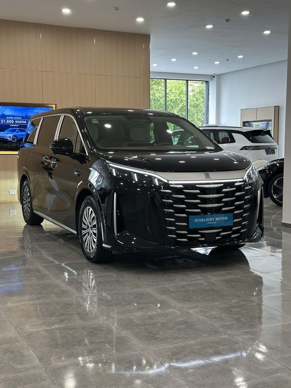 BYD XIA gibrid 2025