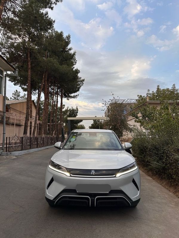 Byd yuan up yili 2024
