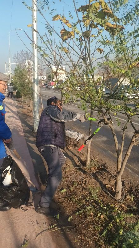 Арчаларга форма бериш шакил бериш хизмат