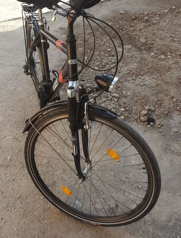 Velosiped nomi gecco Velosiped nomi gecco