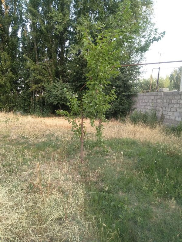 Срочно продам земельный участок 4 сотки цена за сотку Срочно продам земельный участок 4 сотки цена за сотку