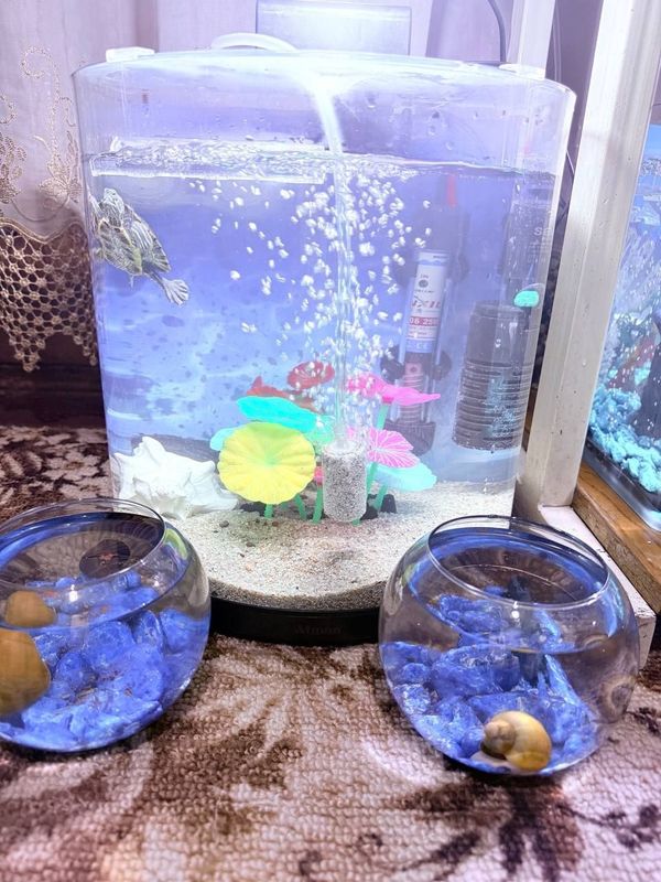 Akvarium zavodskoy china 17-20 litrov