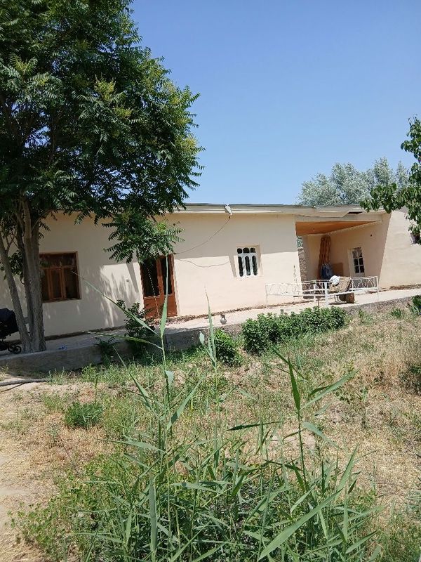 Hovli sotiladi 40sotix hamma sharoitlari bor svet gazdan muammo yo'q Hovli sotiladi 40sotix hamma sharoitlari bor svet gazdan muammo yo'q