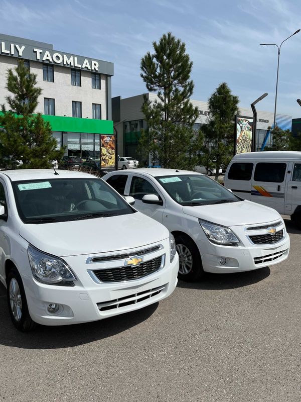 Cobalt A/t 2024 Nasiya Savdoga qulay narxlarda