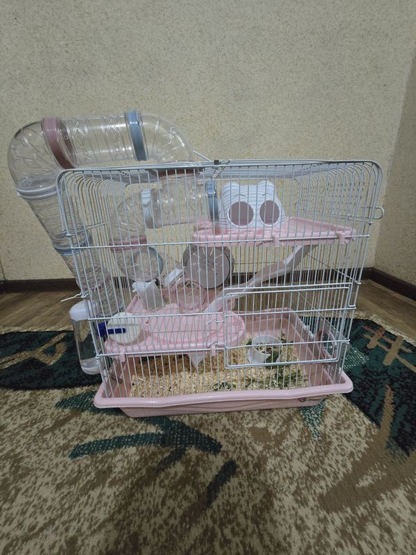 3 хомяка с клеткой
